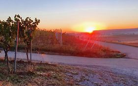 Weingut Will Und Wuerz Lemberger